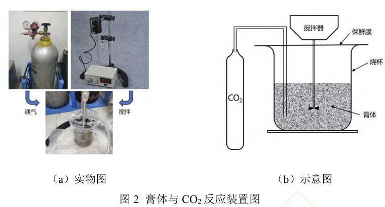 图2膏体与 COz反应装置图.png