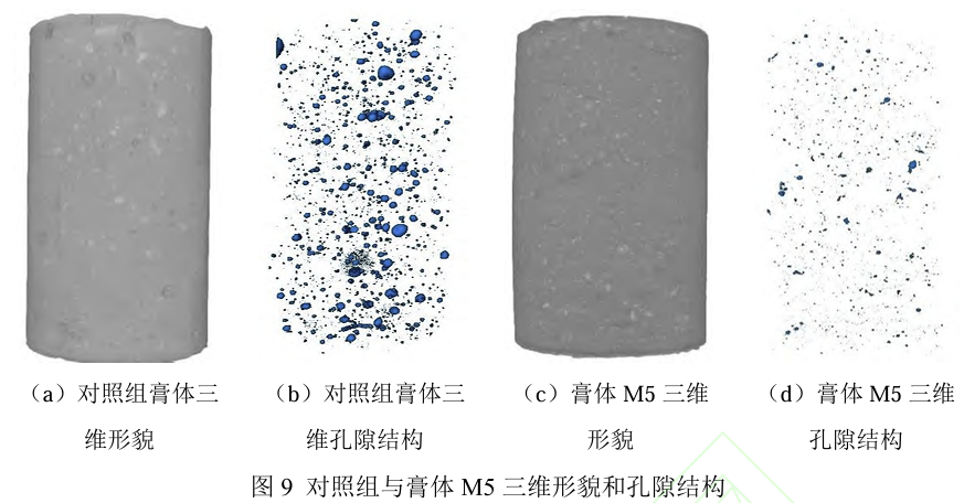 图9对照组与膏体 M5三维形貌和孔隙结构.png