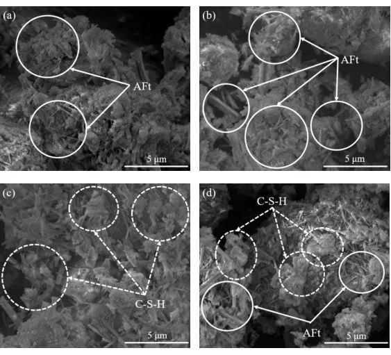 图8 充填试样不同龄期的显微形貌图.jpg 图8 充填试样不同龄期的显微形貌图.jpg