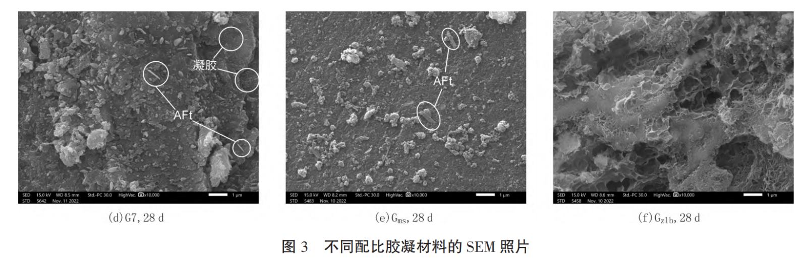 不同配比胶凝材料的 SEM 照片.png