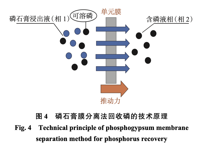 图4 磷石膏膜分离法回收磷的技术原理 图4 磷石膏膜分离法回收磷的技术原理