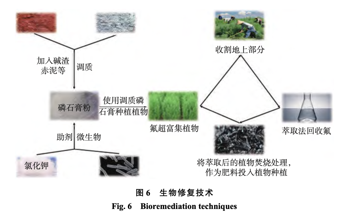 图6生物修复技术 图6生物修复技术